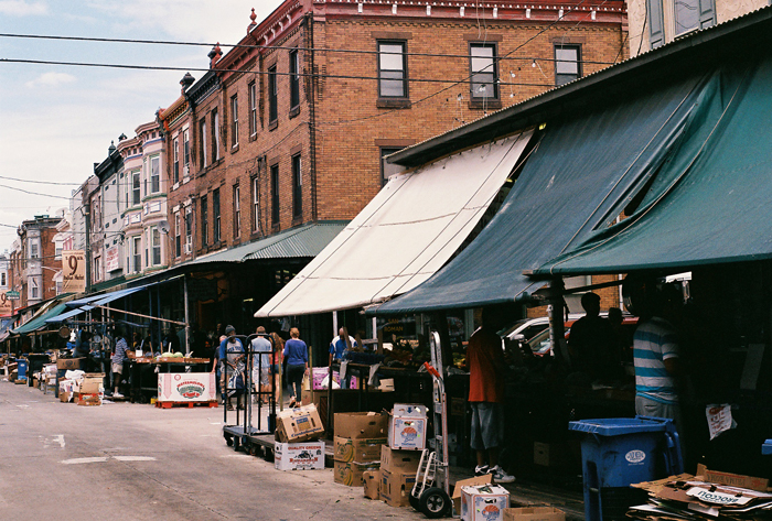 R1-05017-001Acropsite