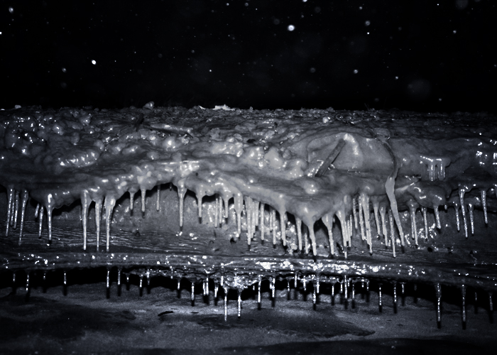 12-11-13PremierShoot3