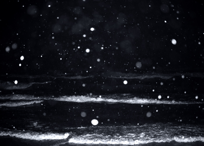 12-11-13PremierShoot4