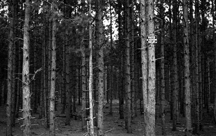 1-13-14MWsitefeature4