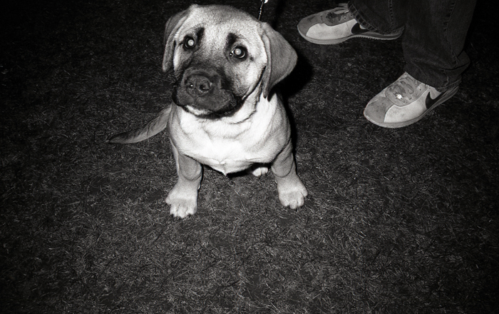 1-13-14MWsitefeature9